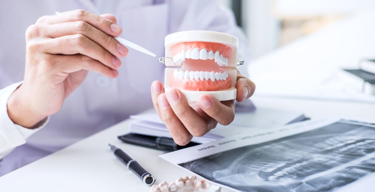 Dentist holding dental teeth model and explaining oral care with pointer beside X-ray report in clinic setting